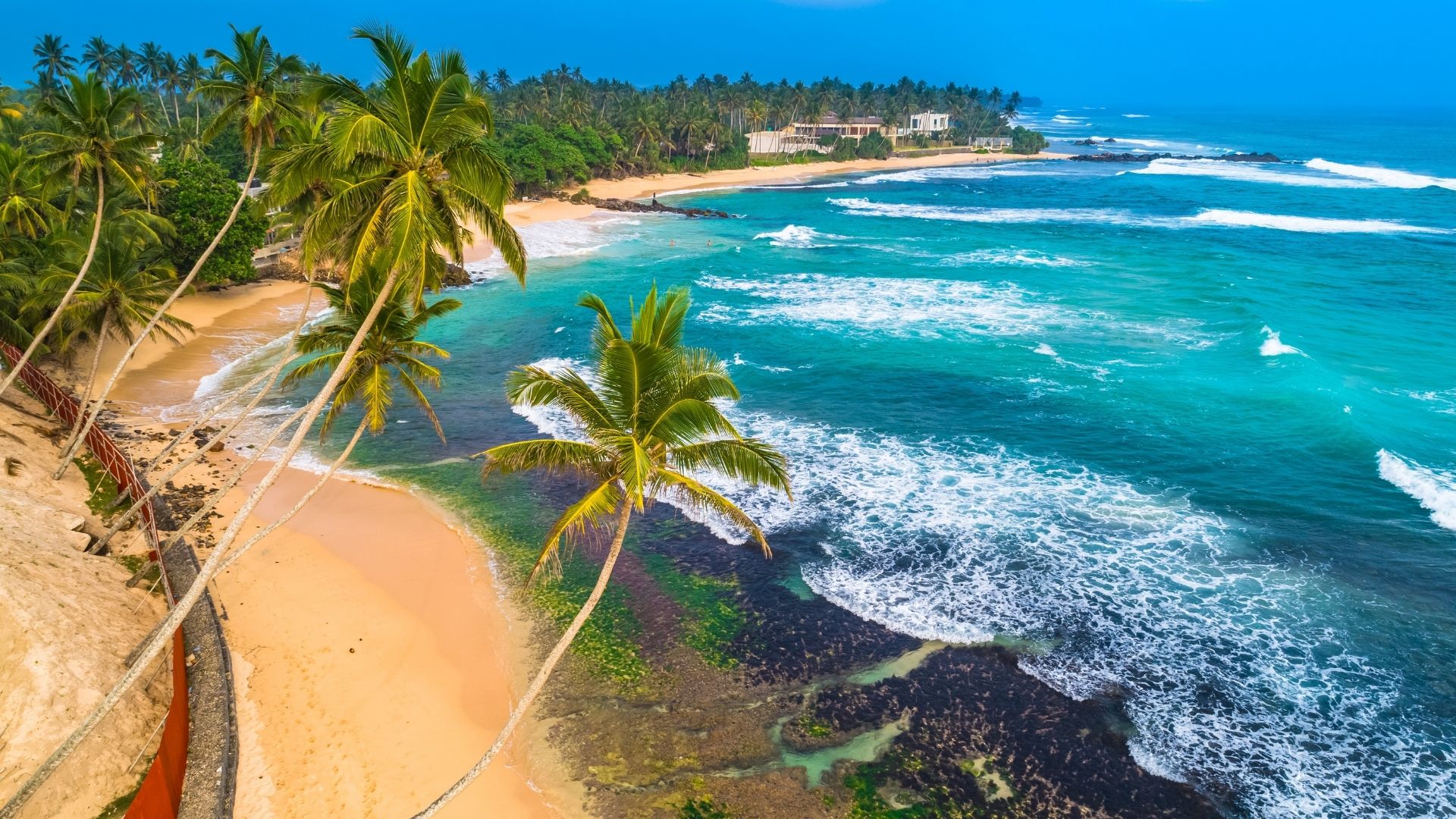 Aerial view of a palm-fringed beach cove with turquoise waves breaking on golden sand.